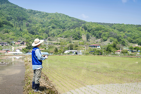 포토 JPG 주간 전신 남자 농업 한명 서기 들기 20대 성인 야외 옆모습 한국인 농촌 농부 모내기 드론 원격조종 성인남자한명만 스마트팜 청년농부 국내포토 여주시 자연요소 직업 1 산업 뷰포인트 모션 사람 동양인 청년 농장 시골 경기도 남자한명만 성인남자만 파일형식