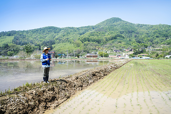포토 JPG 주간 전신 남자 농업 한명 서기 들기 20대 성인 야외 앞모습 한국인 농촌 농부 모내기 드론 원격조종 성인남자한명만 스마트팜 청년농부 국내포토 여주시 자연요소 직업 1 산업 뷰포인트 모션 사람 동양인 청년 농장 시골 경기도 남자한명만 성인남자만 파일형식