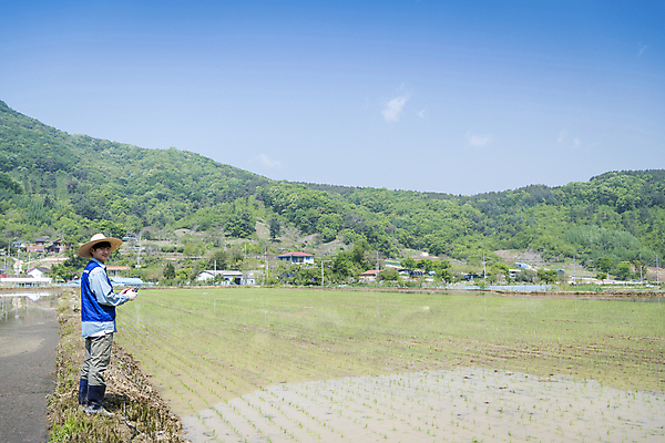 포토 JPG 주간 전신 남자 농업 한명 서기 들기 20대 성인 야외 앞모습 한국인 농촌 농부 모내기 드론 원격조종 성인남자한명만 스마트팜 청년농부 국내포토 여주시 자연요소 직업 1 산업 뷰포인트 모션 사람 동양인 청년 농장 시골 경기도 남자한명만 성인남자만 파일형식