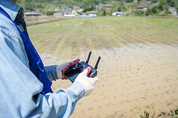 포토 JPG 주간 손 남자 농업 한명 들기 상반신 20대 성인 야외 옆모습 한국인 농촌 농부 모내기 드론 원격조종 조종장치 성인남자한명만 스마트팜 청년농부 국내포토 여주시 자연요소 직업 1 산업 뷰포인트 모션 사람 동양인 청년 신체부위 농장 장비 시골 경기도 남자한명만 성인남자만 파일형식