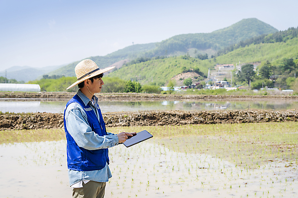 포토 JPG 주간 남자 농업 한명 들기 상반신 20대 성인 야외 옆모습 태블릿 한국인 농촌 농부 모내기 성인남자한명만 스마트팜 청년농부 국내포토 여주시 자연요소 직업 1 산업 뷰포인트 모션 사람 동양인 청년 전자제품 스마트기기 농장 시골 경기도 남자한명만 성인남자만 파일형식