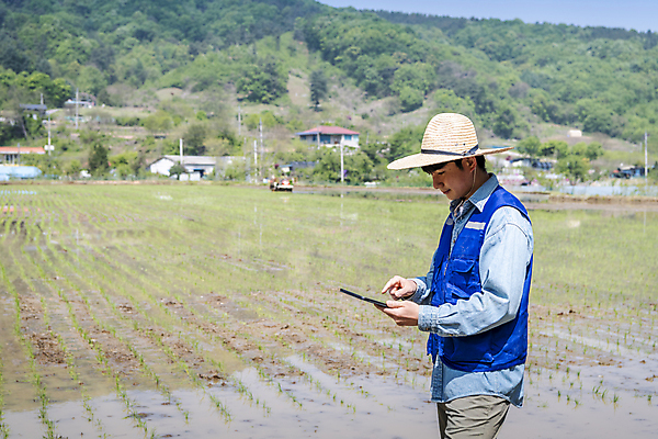 포토 JPG 주간 남자 농업 한명 들기 상반신 20대 성인 야외 옆모습 태블릿 터치 한국인 농촌 농부 모내기 성인남자한명만 스마트팜 청년농부 국내포토 여주시 자연요소 직업 1 산업 뷰포인트 모션 사람 동양인 청년 전자제품 스마트기기 농장 시골 경기도 남자한명만 성인남자만 파일형식