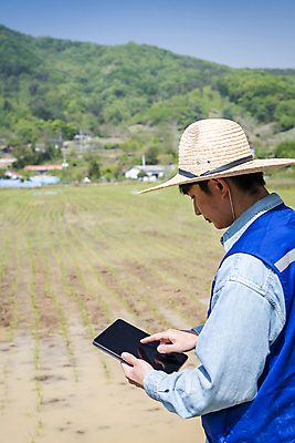 포토 JPG 주간 남자 농업 한명 들기 상반신 20대 성인 야외 옆모습 태블릿 터치 한국인 농촌 농부 모내기 성인남자한명만 스마트팜 청년농부 국내포토 여주시 자연요소 직업 1 산업 뷰포인트 모션 사람 동양인 청년 전자제품 스마트기기 농장 시골 경기도 남자한명만 성인남자만 파일형식