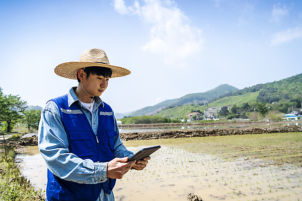 포토 JPG 주간 응시 남자 농업 한명 들기 상반신 20대 성인 야외 옆모습 태블릿 한국인 농촌 농부 모내기 성인남자한명만 스마트팜 청년농부 국내포토 여주시 자연요소 직업 1 시선 산업 뷰포인트 모션 사람 동양인 청년 전자제품 스마트기기 농장 시골 경기도 남자한명만 성인남자만 파일형식