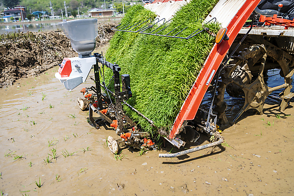 포토 JPG 주간 농업 논 풍경 근접촬영 사람없음 야외 농촌 모내기 이앙기 국내포토 여주시 자연요소 산업 뷰포인트 시골 농기계 경기도 파일형식