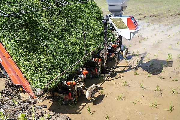 포토 JPG 주간 농업 논 풍경 근접촬영 사람없음 야외 농촌 모내기 이앙기 국내포토 여주시 자연요소 산업 뷰포인트 시골 농기계 경기도 파일형식