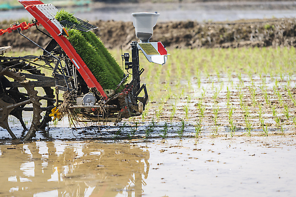 포토 JPG 주간 농업 논 풍경 근접촬영 사람없음 야외 농촌 모내기 이앙기 국내포토 여주시 자연요소 산업 뷰포인트 시골 농기계 경기도 파일형식