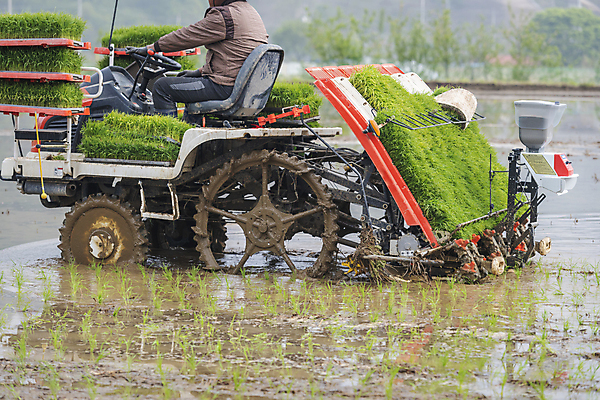 포토 JPG 주간 농업 논 사람 풍경 상반신 야외 옆모습 농촌 승차 모내기 이앙기 국내포토 여주시 자연요소 산업 뷰포인트 모션 시골 농기계 경기도 파일형식