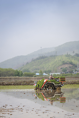 포토 JPG 주간 농업 하늘 논 한명 사람 풍경 상반신 야외 옆모습 농촌 모내기 이앙기 국내포토 여주시 자연요소 1 산업 뷰포인트 시골 농기계 경기도 파일형식