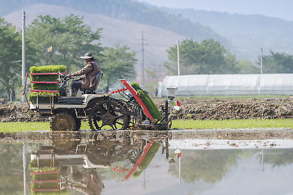 포토 JPG 주간 전신 농업 논 한명 사람 풍경 야외 옆모습 반사 농촌 승차 모내기 이앙기 국내포토 여주시 자연요소 1 산업 뷰포인트 모션 시골 농기계 경기도 파일형식