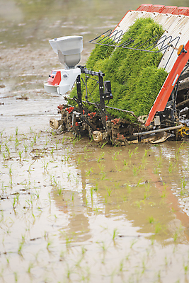 포토 JPG 주간 농업 논 풍경 사람없음 야외 농촌 모내기 심기 이앙기 국내포토 여주시 자연요소 산업 모션 시골 농기계 경기도 파일형식