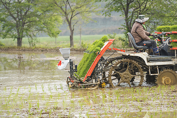 포토 JPG 주간 전신 농업 논 한명 사람 풍경 야외 옆모습 농촌 승차 모내기 이앙기 국내포토 여주시 자연요소 1 산업 뷰포인트 모션 시골 농기계 경기도 파일형식