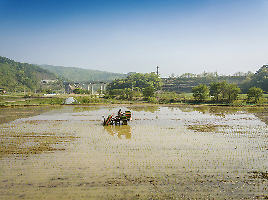 포토 JPG 주간 농업 하늘 논 한명 사람 풍경 야외 농촌 모내기 이앙기 전경 국내포토 여주시 자연요소 1 산업 시골 농기계 경기도 파일형식 탑뷰