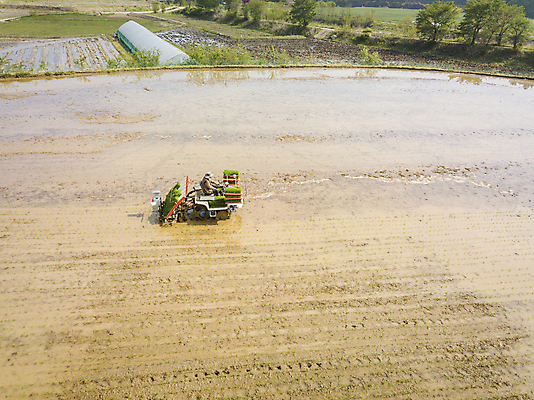 포토 JPG 주간 농업 논 한명 사람 풍경 야외 농촌 모내기 이앙기 전경 국내포토 여주시 자연요소 1 산업 시골 농기계 경기도 파일형식 탑뷰