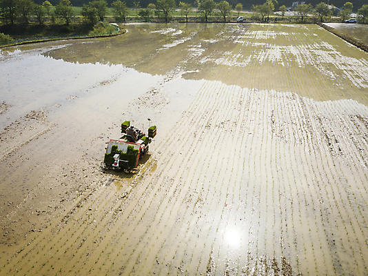 포토 JPG 주간 농업 논 한명 사람 풍경 야외 농촌 모내기 이앙기 전경 국내포토 여주시 자연요소 1 산업 시골 농기계 경기도 파일형식 탑뷰