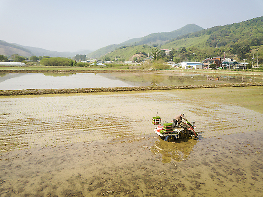 포토 JPG 주간 농업 논 한명 사람 풍경 야외 농촌 모내기 이앙기 전경 국내포토 여주시 자연요소 1 산업 시골 농기계 경기도 파일형식 탑뷰