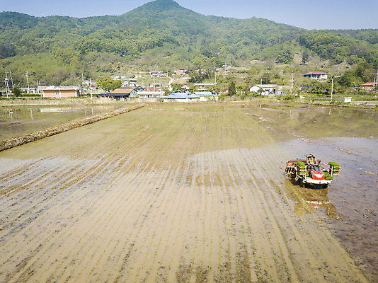 포토 JPG 주간 농업 논 한명 사람 풍경 야외 농촌 모내기 이앙기 전경 국내포토 여주시 자연요소 1 산업 시골 농기계 경기도 파일형식 탑뷰