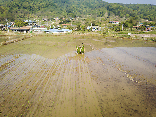 포토 JPG 주간 농업 논 한명 사람 풍경 야외 농촌 모내기 이앙기 전경 국내포토 여주시 자연요소 1 산업 시골 농기계 경기도 파일형식 탑뷰