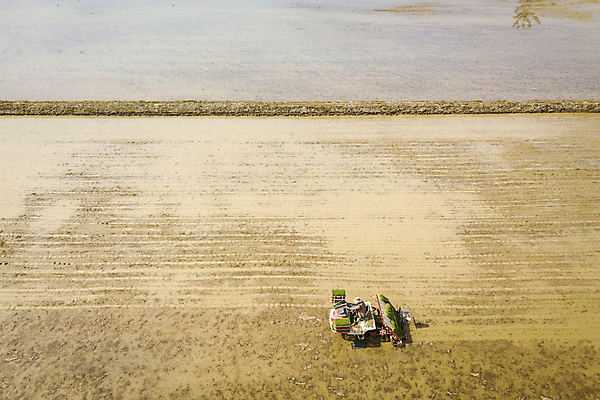 포토 JPG 주간 농업 논 한명 사람 풍경 야외 농촌 모내기 이앙기 전경 국내포토 여주시 자연요소 1 산업 시골 농기계 경기도 파일형식 탑뷰