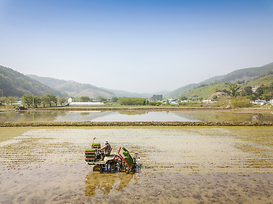 포토 JPG 주간 농업 하늘 논 한명 사람 풍경 야외 농촌 모내기 이앙기 전경 국내포토 여주시 자연요소 1 산업 시골 농기계 경기도 파일형식 탑뷰