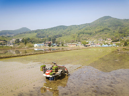 포토 JPG 주간 농업 하늘 산 논 한명 사람 풍경 야외 농촌 모내기 이앙기 전경 국내포토 여주시 자연요소 1 산업 시골 농기계 경기도 파일형식 탑뷰