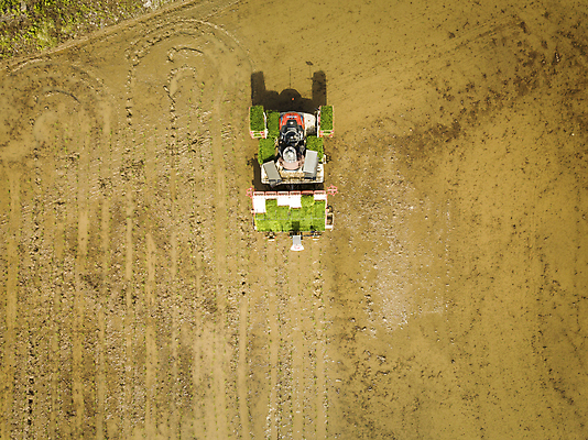 포토 JPG 주간 농업 논 한명 사람 풍경 야외 하이앵글 농촌 땅 모내기 이앙기 국내포토 여주시 자연요소 1 산업 뷰포인트 시골 농기계 경기도 파일형식