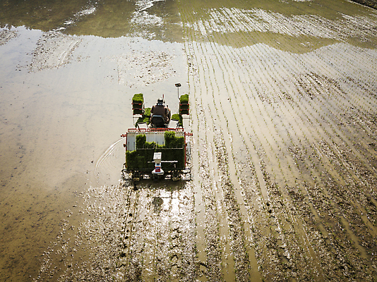 포토 JPG 주간 농업 논 한명 사람 풍경 야외 운전 농촌 모내기 이앙기 국내포토 여주시 자연요소 1 산업 모션 시골 농기계 경기도 파일형식