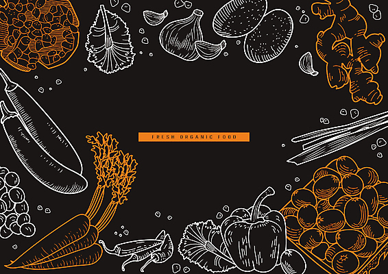 라인일러스트 일러스트 방울토마토 고추 포도 가지 감자 파프리카 마늘 사람없음 검은색 주황색 당근 석류 파 적겨자잎 국내일러스트 AI파일 컬러 토마토 채소 과일 뿌리채소 파일형식 벡터