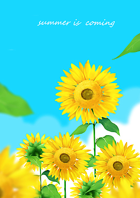 PSD 구름 잎 일러스트 자연 하늘 해바라기 사람없음 여름 노란색 국내일러스트 자연요소 식물 계절 꽃 컬러 생태계 파일형식