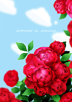 PSD 구름 잎 일러스트 자연 하늘 사람없음 빨간색 여름 장미 덩굴장미 국내일러스트 자연요소 식물 계절 꽃 컬러 생태계 파일형식