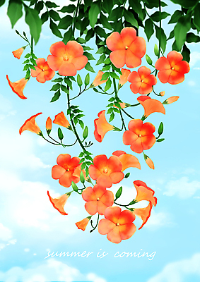 PSD 구름 잎 일러스트 자연 하늘 사람없음 여름 능소화 코랄 국내일러스트 자연요소 식물 계절 꽃 컬러 생태계 파일형식