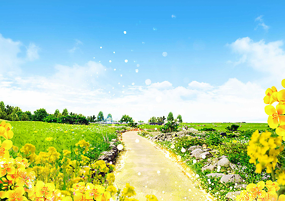 PSD 나무 구름 편집이미지 꽃 길 백그라운드 자연 하늘 풍경 초원 사람없음 빛 이미지편집 자연요소 식물 생태계 파일형식