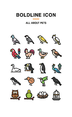 아이콘 여러마리 오리 키위 사람없음 다양 닭 둥지 공작 펭귄 비둘기 앵무새 백조 참새 부엉이 새장 까마귀 벌새 새알 토코투칸 문조 2D아이콘 AI파일 다수 과일 조류 케이지 파일형식 벡터