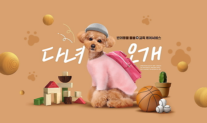 PSD 편집이미지 모자 화분 학교 책가방 농구공 타이포그라피 사람없음 장난감 갈색 블록 유치원 강아지 애견유치원 이미지편집 문자 잡화 교육 컬러 가방 공 농구 반려동물 개 파일형식