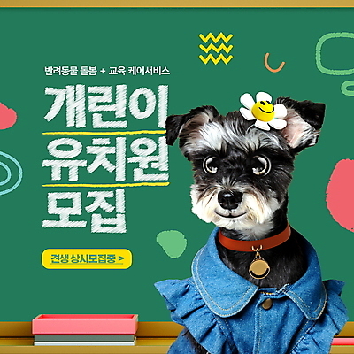 PSD 편집이미지 꽃 타이포그라피 사람없음 초록색 칠판 유치원 강아지 낙서 지우개 모집 애견유치원 이미지편집 식물 문자 교육 컬러 학용품 반려동물 개 파일형식