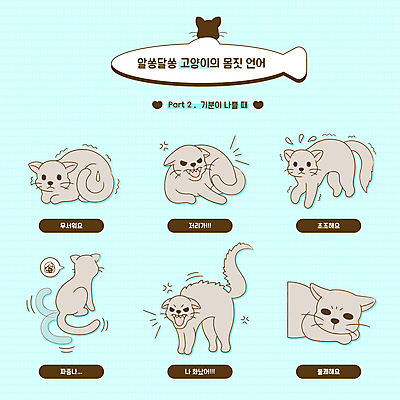 엎드리기 포즈 하늘색 말풍선 일러스트 스트레스 어류 사람없음 분노 짜증 찡그림 무서움 흔들림 꼬리 땀 공포 사나움 떨림 포효 반려묘 땀흘리기 카밍시그널 국내일러스트 AI파일 감정 컨셉 모션 표정 파란색 반려동물 고양이 수중동물 외침 의사소통 파일형식 벡터