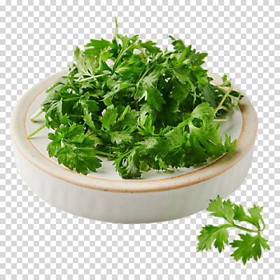 편집이미지 접시 누끼 사람없음 오브젝트 PNG 쑥 식기 채소 파일형식