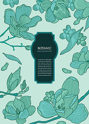 꽃잎 꽃 백그라운드 일러스트 사람없음 청록색 목련 보테니컬아트 국내일러스트 AI파일 식물 컬러 파일형식 벡터