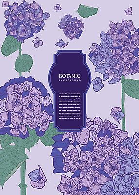 꽃잎 꽃 백그라운드 잎 일러스트 사람없음 보라색 수국 보테니컬아트 국내일러스트 AI파일 식물 컬러 파일형식 벡터