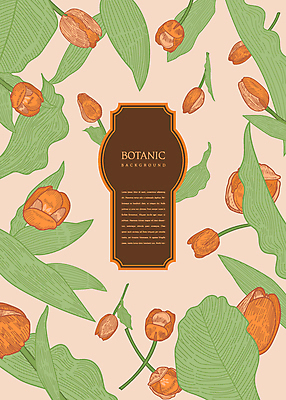 꽃 백그라운드 잎 일러스트 사람없음 주황색 튤립 보테니컬아트 국내일러스트 AI파일 식물 컬러 파일형식 벡터