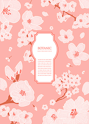 꽃잎 꽃 분홍색 백그라운드 일러스트 봄꽃 사람없음 나뭇가지 꽃봉오리 보테니컬아트 국내일러스트 AI파일 나무 식물 컬러 봄 파일형식 벡터