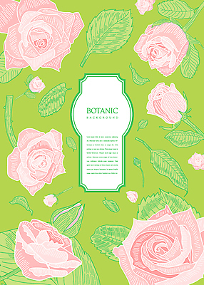 꽃잎 꽃 분홍색 백그라운드 일러스트 사람없음 연두색 장미 풀잎 보테니컬아트 국내일러스트 AI파일 식물 컬러 잎 초록색 풀_식물 파일형식 벡터