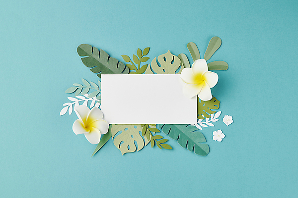 포토 JPG 스튜디오촬영 꽃 종이 백그라운드 잎 꽃백그라운드 프레임 사람없음 파란색 페이퍼아트 플루메리아 감성 카피스페이스 국내포토 식물 컬러 컨셉 실내 공백 파일형식