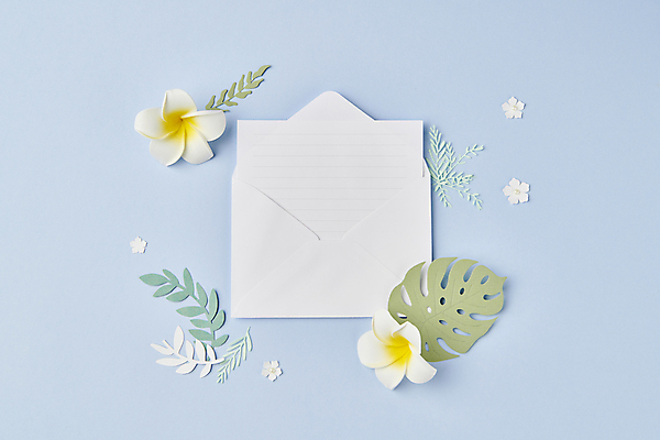 포토 JPG 스튜디오촬영 꽃 종이 하늘색 백그라운드 잎 꽃백그라운드 사람없음 페이퍼아트 편지 편지지 플루메리아 감성 몬스테라 카피스페이스 국내포토 식물 컨셉 실내 파란색 공백 파일형식