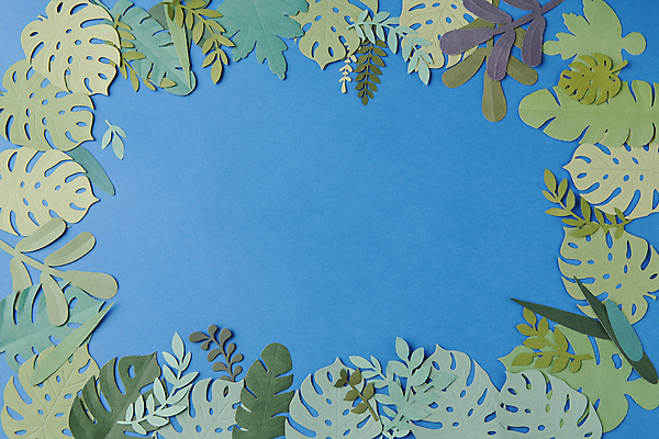 포토 JPG 스튜디오촬영 꽃 종이 백그라운드 잎 꽃백그라운드 프레임 사람없음 파란색 페이퍼아트 감성 몬스테라 플랫레이 카피스페이스 국내포토 식물 컬러 컨셉 실내 공백 플랫 파일형식