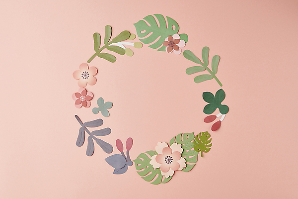 포토 JPG 스튜디오촬영 꽃 종이 분홍색 백그라운드 잎 꽃백그라운드 프레임 사람없음 원형 페이퍼아트 감성 카피스페이스 국내포토 도형 식물 컬러 컨셉 실내 공백 파일형식