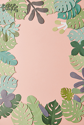 포토 JPG 스튜디오촬영 꽃 종이 분홍색 백그라운드 잎 꽃백그라운드 프레임 사람없음 페이퍼아트 감성 몬스테라 카피스페이스 국내포토 식물 컬러 컨셉 실내 공백 파일형식