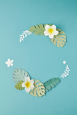 포토 JPG 스튜디오촬영 꽃 종이 백그라운드 잎 꽃백그라운드 사람없음 파란색 페이퍼아트 플루메리아 감성 몬스테라 카피스페이스 국내포토 식물 컬러 컨셉 실내 공백 파일형식