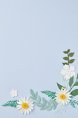 포토 JPG 스튜디오촬영 꽃 종이 하늘색 백그라운드 잎 꽃백그라운드 사람없음 페이퍼아트 감성 카피스페이스 국내포토 식물 컨셉 실내 파란색 공백 파일형식