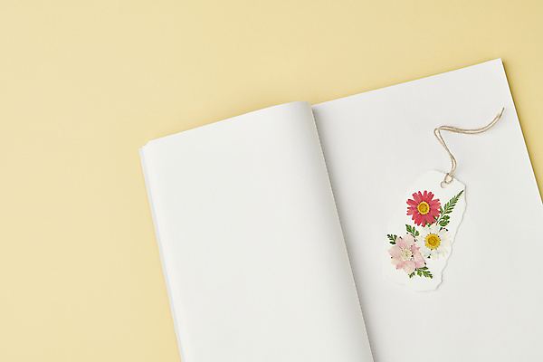 포토 JPG 스튜디오촬영 꽃 백그라운드 잎 꽃백그라운드 사람없음 공책 감성 북마크 압화 국내포토 식물 컨셉 문구용품 실내 파일형식